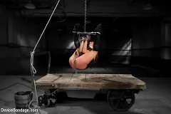 Amber Rayne - Amber Rayne Returns to Device Bondage | Picture (9)