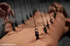 Amber Rayne - Amber Rayne Returns to Device Bondage | Picture (10)