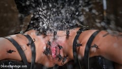Bonnie Rotten - FLOOD: Submissive Women Bound in Metal and Made to Squirt | Picture (16)