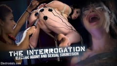 Daisy Ducati - The Interrogation: Electric Agony and Sexual Submission | Picture (19)