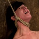 Elise Graves in 'Brutal nipple pulling, slow strangulation, extreme back arching Made to cum so hard, so often.'
