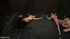 Felony - ORGASMAGEDDON Part 44 We orgasmed them both to the breaking point. Beyond the edge into insanity | Picture (14)