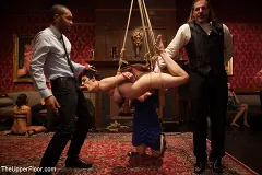 Iona Grace - Discipline Lost: The Return of the Consort | Picture (3)