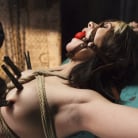 Katt Anomia in 'Taken, Tied and Tortured'