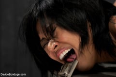 Krissie Dee - Krissie Dee Punished by Sebastian Keys on DeviceBondage! | Picture (3)