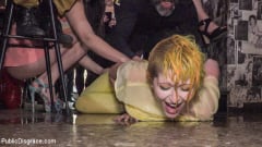Liz Rainbow - Spanish Bar turns into a Filthy Fuck Party! - Part 2 | Picture (4)