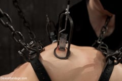 Lorelei Lee - Lorelei Lee is Bent in Unforgiving Device Bondage | Picture (16)