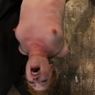 Madison Young in 'Redhead suspended by ankles with rope, face fucked Flogged until her skin is bright pink.'