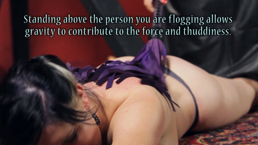 Nerine Mechanique - Sensual Flogging 101 - with Cleo Dubois | Picture (15)