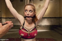 Penny Pax - Penny Pax Gagged and Double Stuffed | Picture (2)