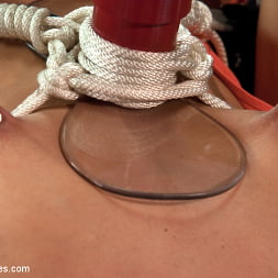 The Return of the Mega-Cummer