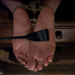Breaking and Entering