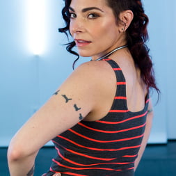 Live! Exotic beauties submit to wild electric domination.