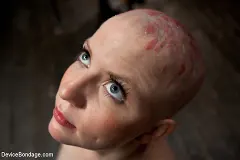 Alani Pi - Alani Pi - Head Shaved Slut Live Show - Part 2 | Picture (7)