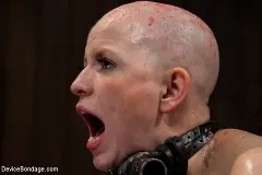 Alani Pi - Alani Pi - Head Shaved Slut Live Show - Part 2 | Picture (14)