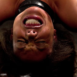 Pornstar gets wrecked in her first bondage shoot
