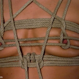 Penthouse Pet gets her pussy wired!!!