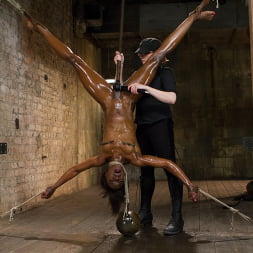 Former Runway Model Tamed - Ana Foxxx
