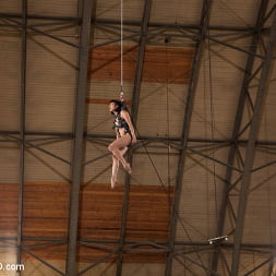 Ultimate Obedience: Heights, Drowning, and the Dark