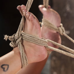 Penthouse Pet, Ava Dalush, Gets Devastated in Brutal Bondage!!