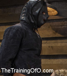 Training a Porno Slut to Fuck Better, Day Two