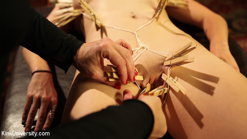 Clothespin Zippers: with Flaming June and Bella Rossi