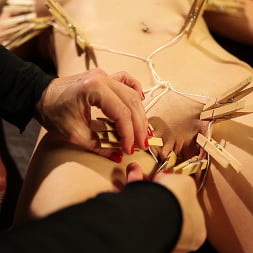 Clothespin Zippers: with Flaming June and Bella Rossi