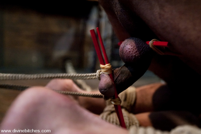 Fresh Meat: Episode 2 Thank You Mistress Bobbi