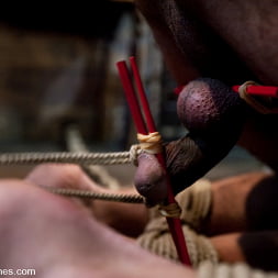 Fresh Meat: Episode 2 Thank You Mistress Bobbi