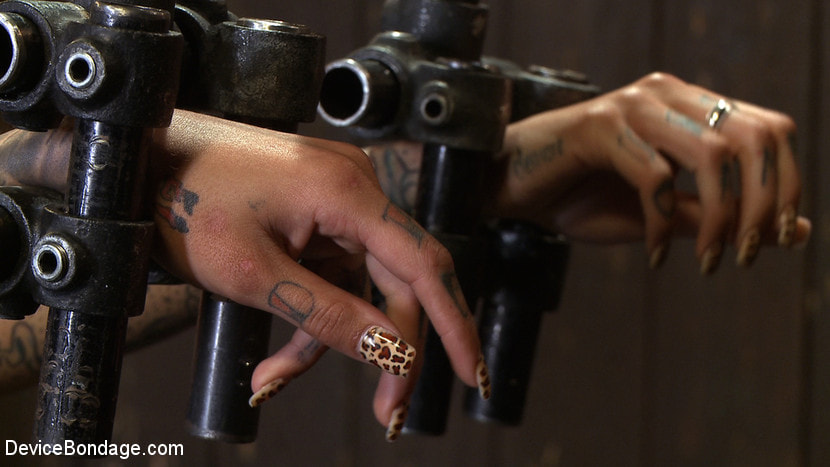 Bonnie Rotten  -  Tamed WhoreによってJP