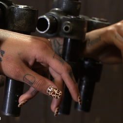 Bonnie Rotten  -  Tamed WhoreによってJP