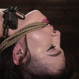 School Of Submission: Brooke Johnson - Day Four