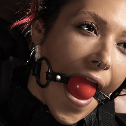 Brooklyn Gray: Pain Slut Extraordinaire
