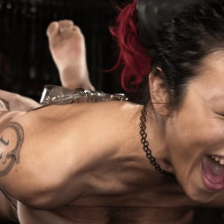 Brooklyn Gray: Pain Slut Extraordinaire