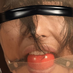 Brutal Bondage and Grueling Domination of Brooklyn Gray