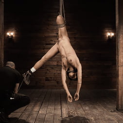 School of Submission, Day Four: Brooklyn Gray