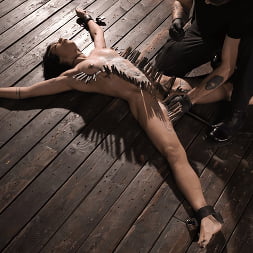 School of Submission, Day Four: Brooklyn Gray