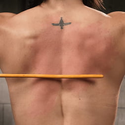 School of Submission, Day One: Brooklyn Gray