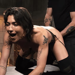 School of Submission, Day One: Brooklyn Gray