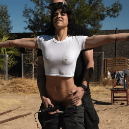School of Submission, Day Three: Brooklyn Gray