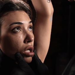 School of Submission, Day Three: Brooklyn Gray