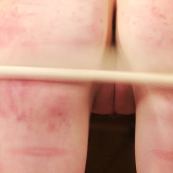 缶詰：Sensadual to Sadistic