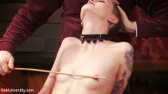 Cadence Cross - Caning: Sensual to Sadistic | Picture (5)