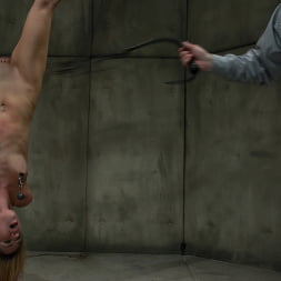 CLASSIC SHOOT! Calico: Sex Addict! Can she be cured. Why would we want that