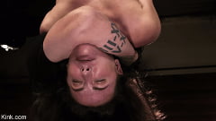 Casey Calvert - Casey Calvert: Extreme Rope Bondage and Torment | Picture (27)