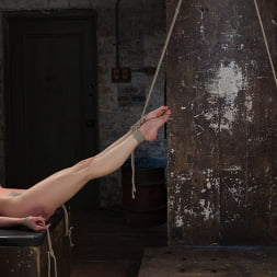 Casey and Dahlia Suffer Together in Brutal Bondage