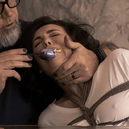 Diary of a Madman, S2 E2: Learning The Hard Way
