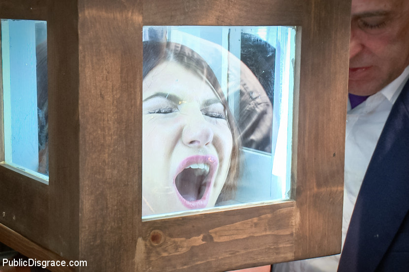 Pain slut surrenders to public ass-pounding