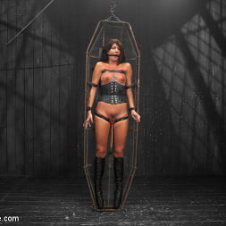 Tough As Nails - Cassandra Nix