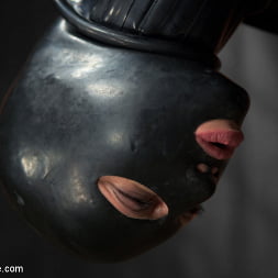 Tough As Nails - Cassandra Nix